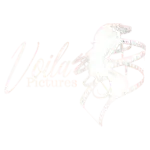 Voila Pictures logo